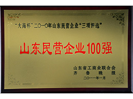 山東民營企業(yè)100強(qiáng)